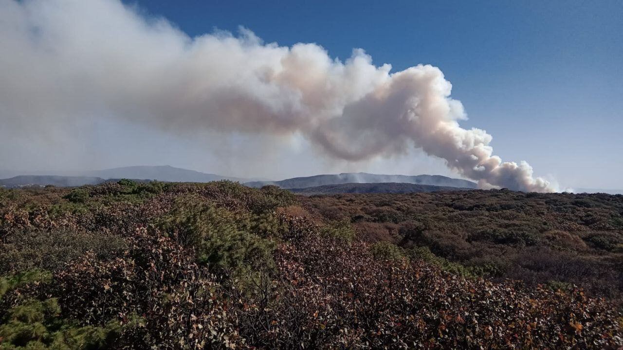 Feu de Jalisco, forêt de La Primavera