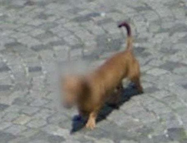 Google Maps