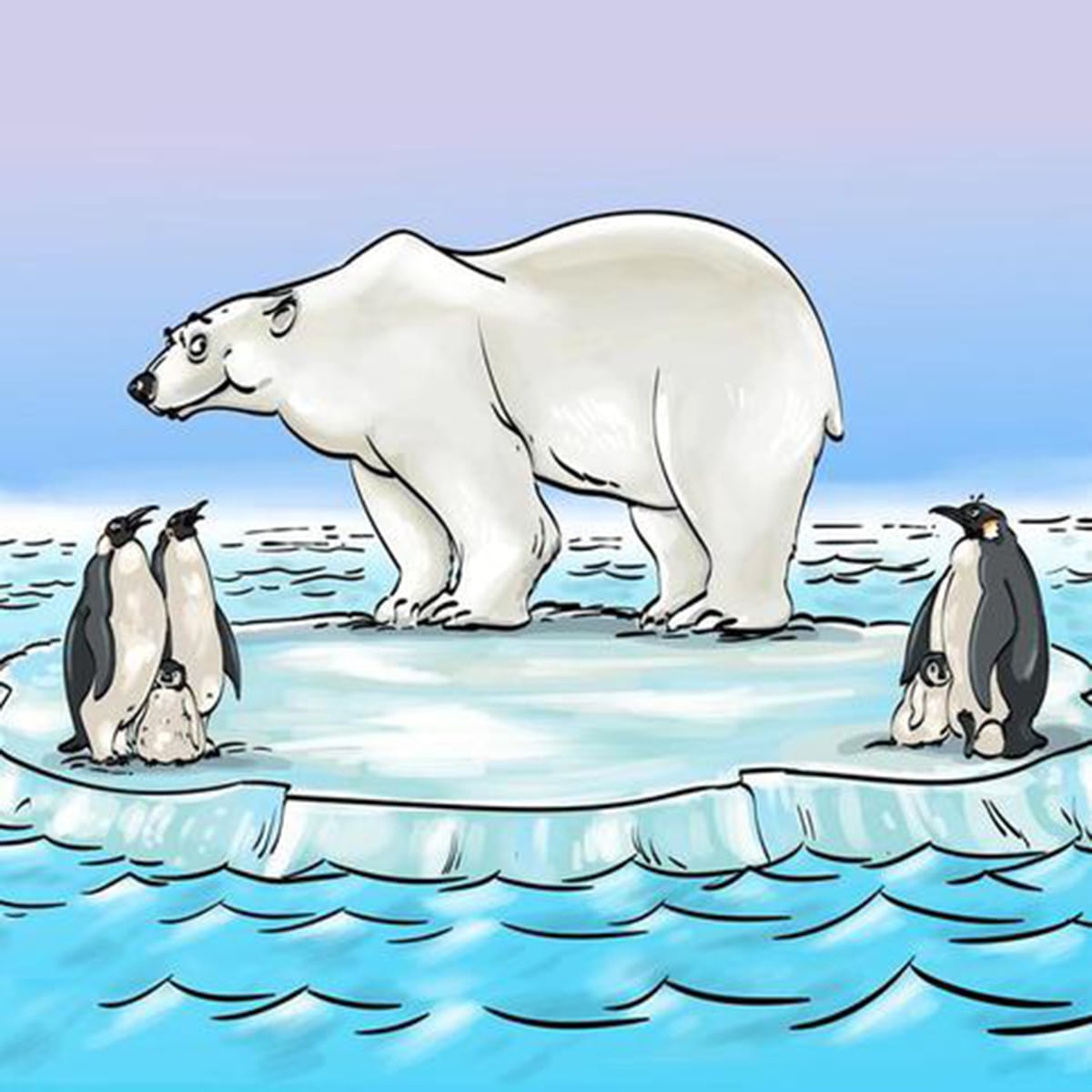 Solução de urso polar