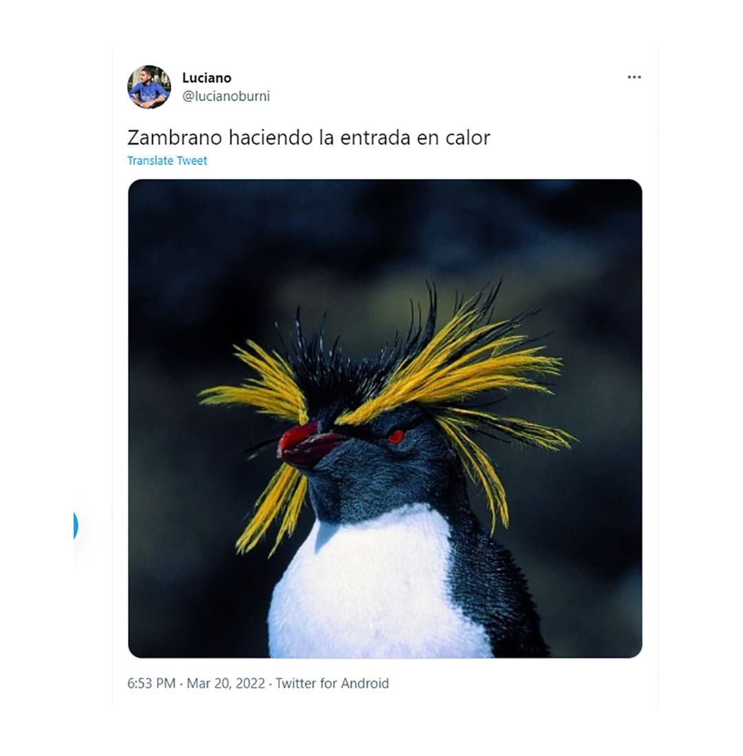MEMES BOCA RIVER