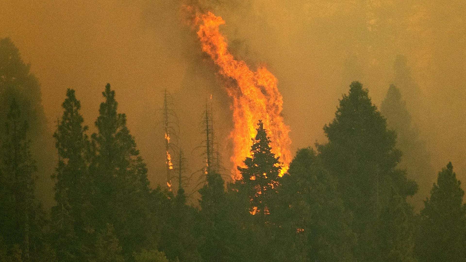 fuoco della california 1