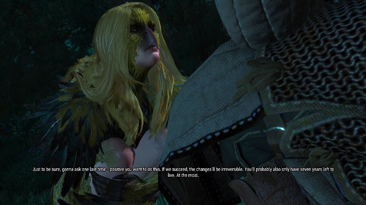 The Witcher