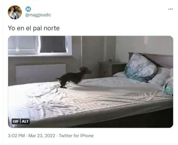 Memes von Pal Norte
