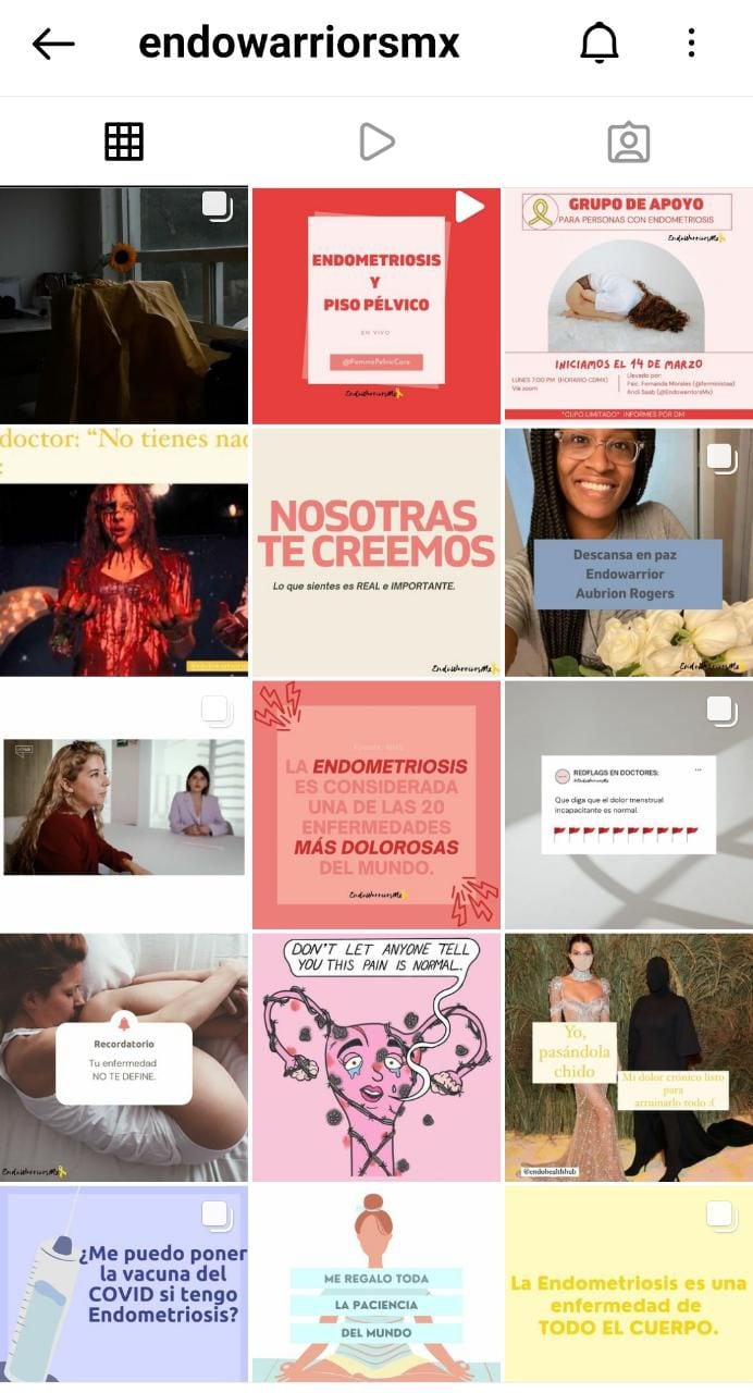 Endo guerrieri
