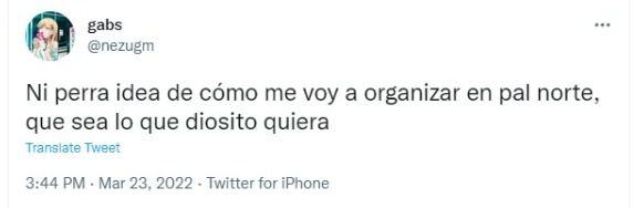 Memes von Pal Norte