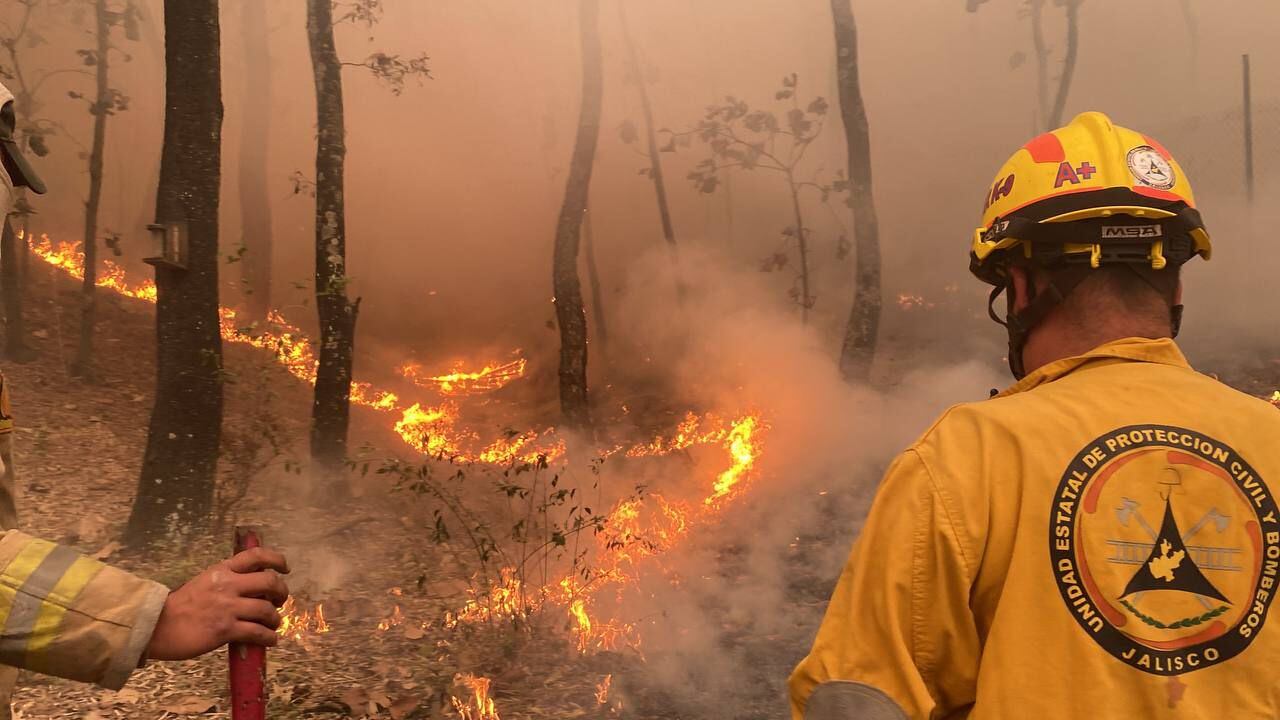 Feu de Jalisco, forêt de La Primavera