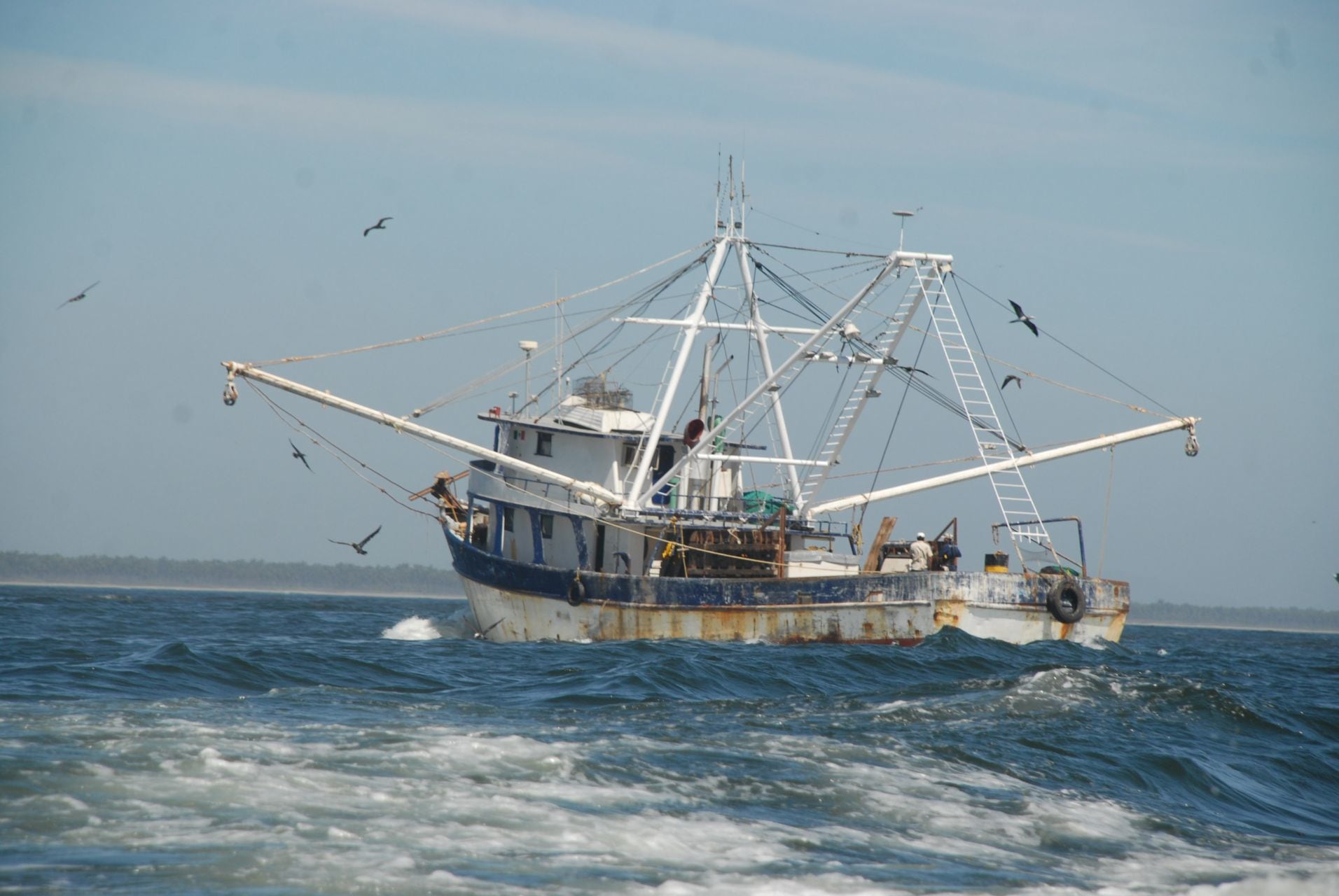 pêche en bateau Mexique PHOTO : VICTOR HUGO OLIVAS/LE DÉBAT DE SIINALOA/CUARTOSCURO.COM