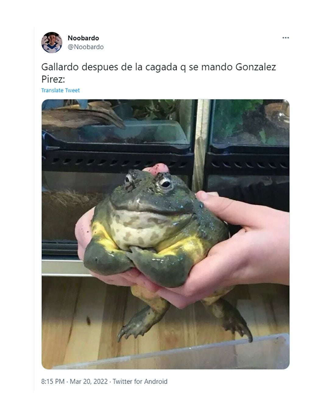 MEMES BOCA RIVER