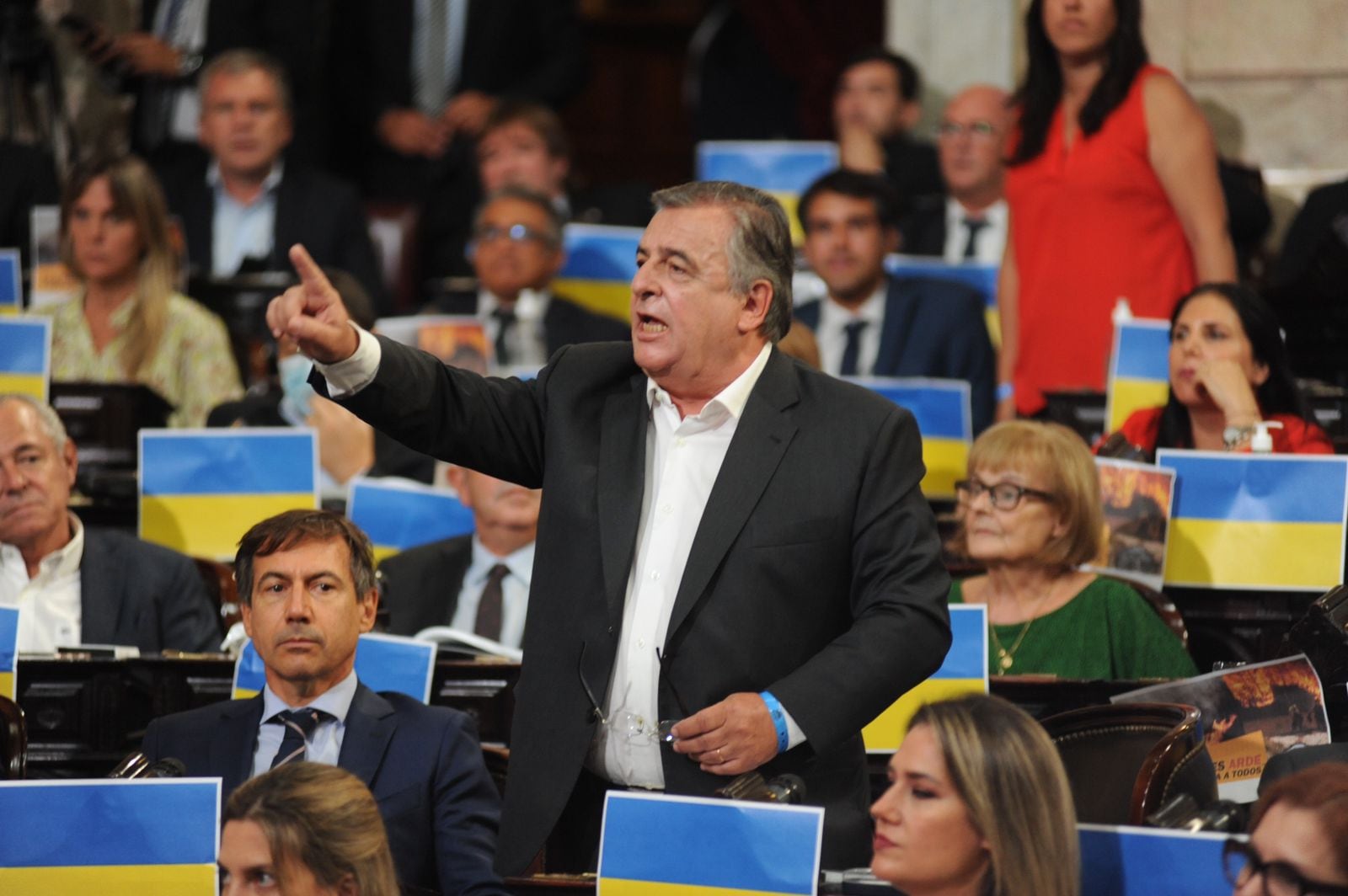 Mario Negri in der gesetzgebenden Versammlung, Kongress, Alberto Fernández