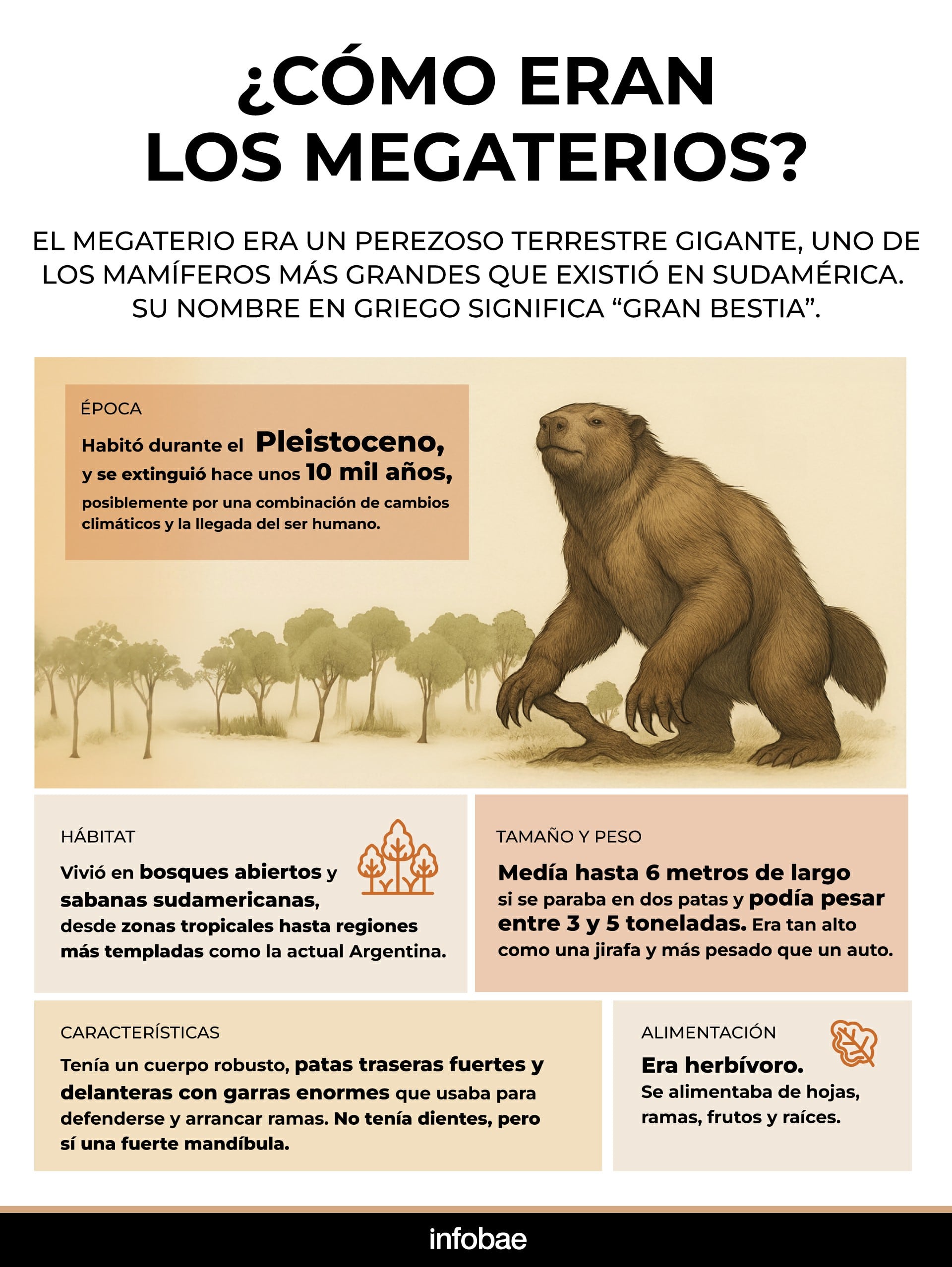infografia